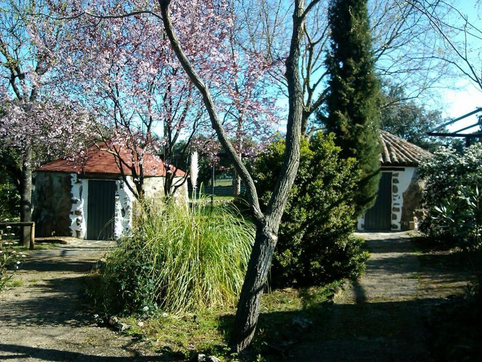 Las Cabanas De Buffalos Cumbres Mayores Exterior photo